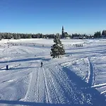 Apartma Borovnica Rogla Vitanje