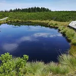 Apartma Borovnica Rogla *