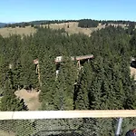 Apartman Apartma Borovnica Rogla *