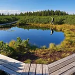 Apartma Borovnica Rogla Apartman Vitanje