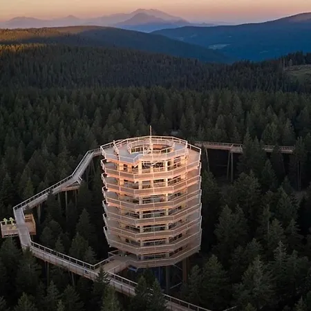 Apartma Borovnica Rogla Vitanje