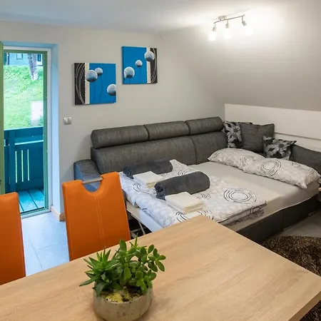 Apartma Borovnica Rogla Lägenhet Vitanje