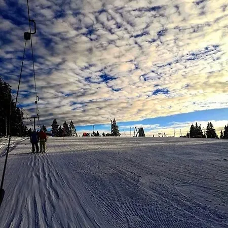 Apartma Borovnica Rogla *