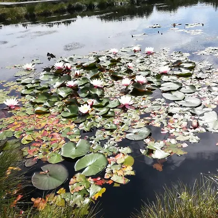 Apartma Borovnica Rogla Vitanje