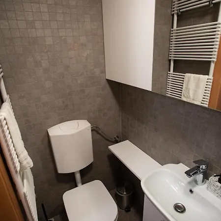 Apartma Borovnica Rogla Lägenhet *