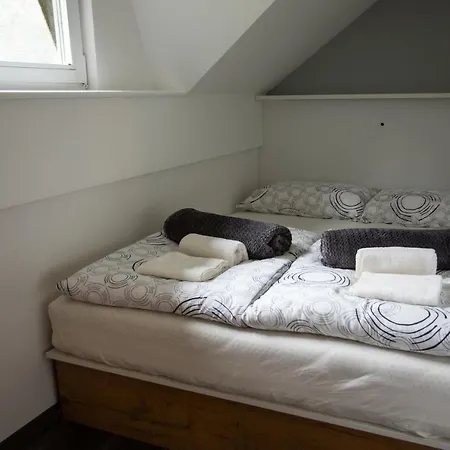 Apartma Borovnica Rogla Lägenhet Vitanje