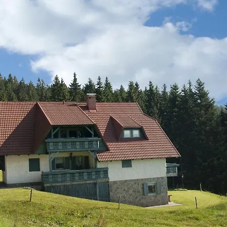 Apartma Borovnica Rogla Lägenhet *
