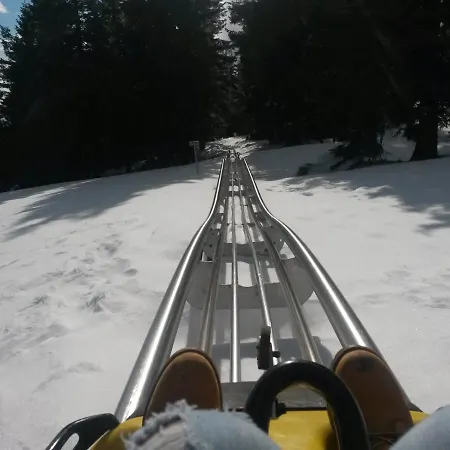 דירה Apartma Borovnica Rogla *