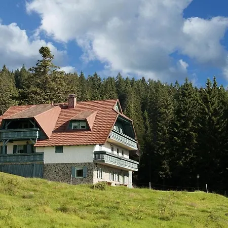 Apartma Borovnica Rogla *
