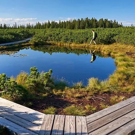 Apartma Borovnica Rogla Lägenhet Vitanje