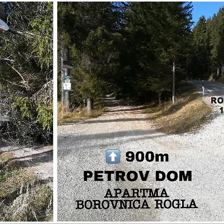Apartma Borovnica Rogla Lägenhet *