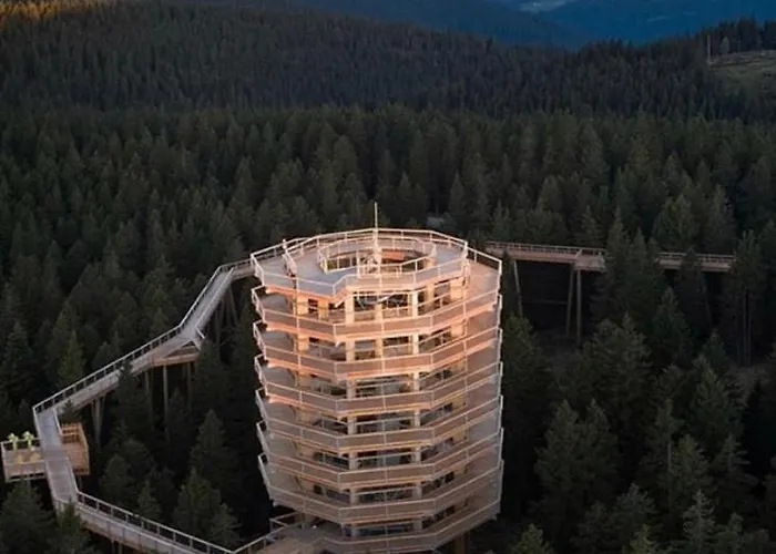 Apartma Borovnica Rogla Vitanje