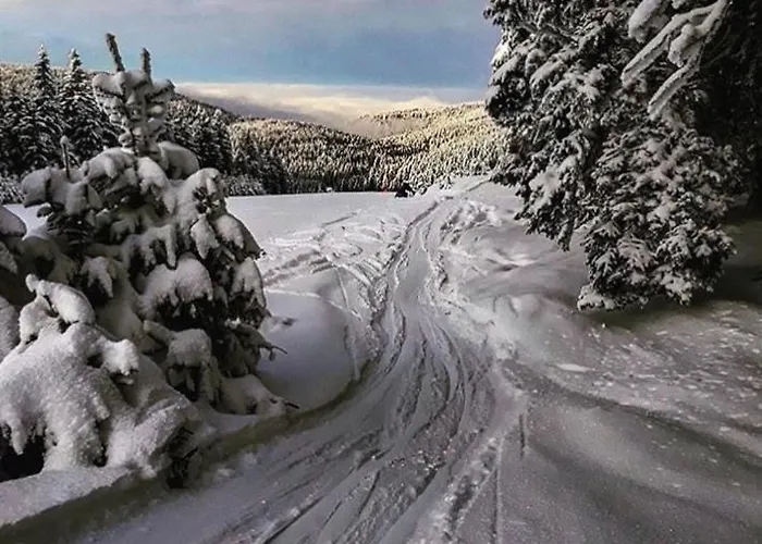 דירה Apartma Borovnica Rogla Vitanje