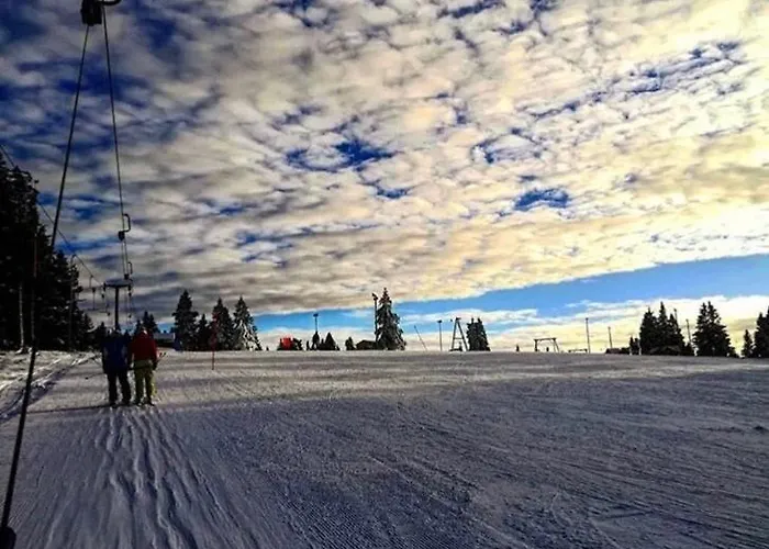 Apartma Borovnica Rogla *