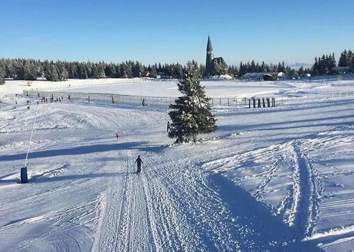 Apartma Borovnica Rogla Vitanje