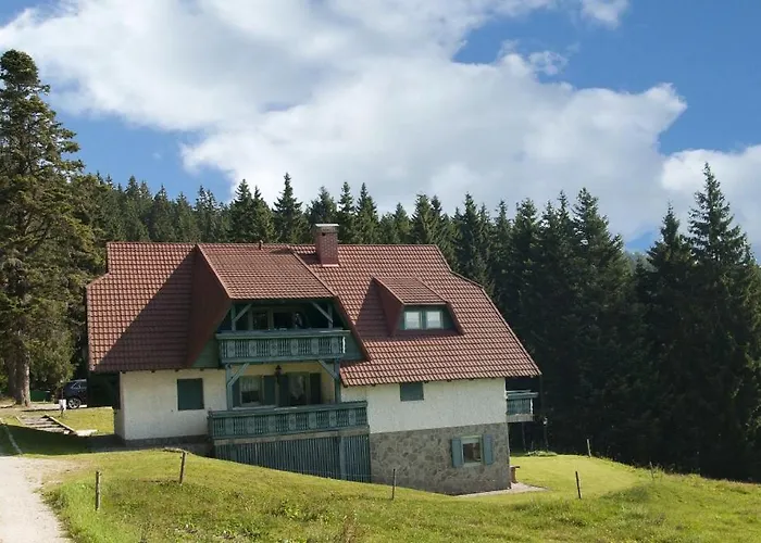 Apartma Borovnica Rogla דירה *