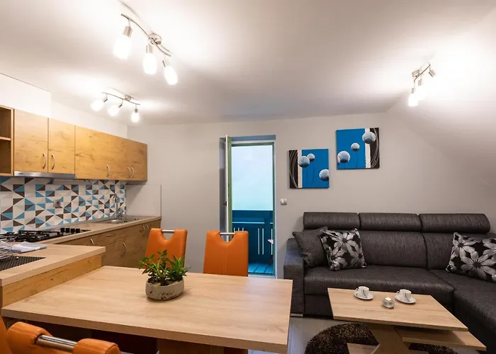 Apartma Borovnica Rogla * Vitanje