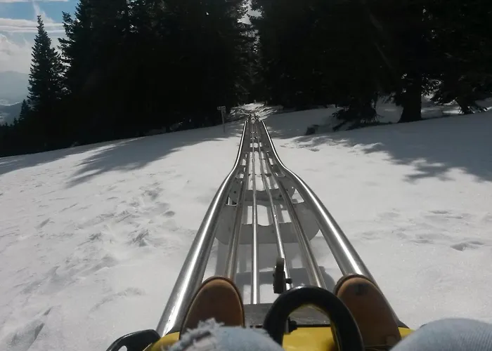 Διαμέρισμα Apartma Borovnica Rogla *