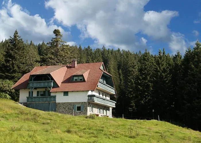 Apartma Borovnica Rogla *