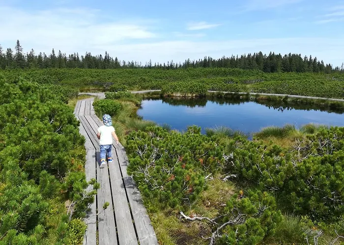 Apartma Borovnica Rogla Διαμέρισμα Vitanje