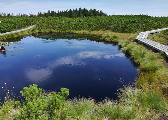 Apartma Borovnica Rogla *