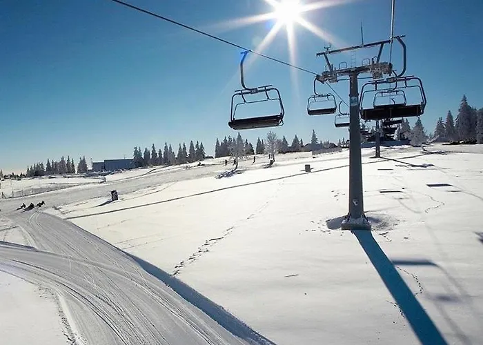 Διαμέρισμα Apartma Borovnica Rogla Vitanje