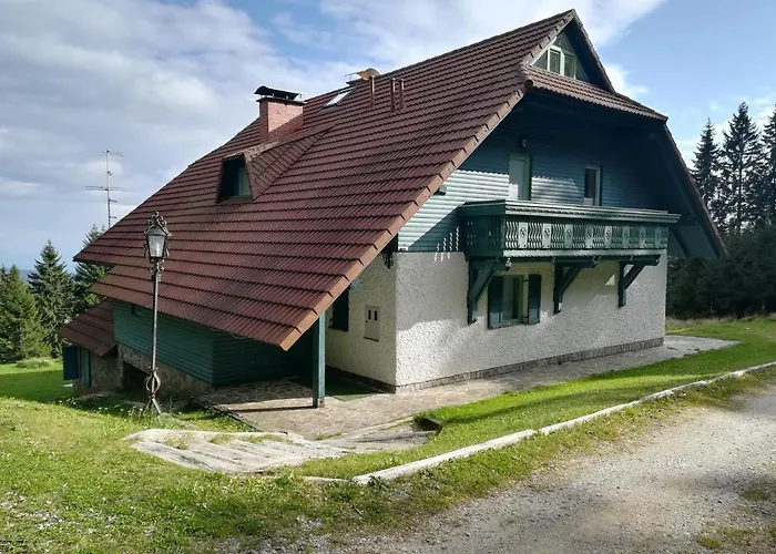 Apartma Borovnica Rogla * Vitanje