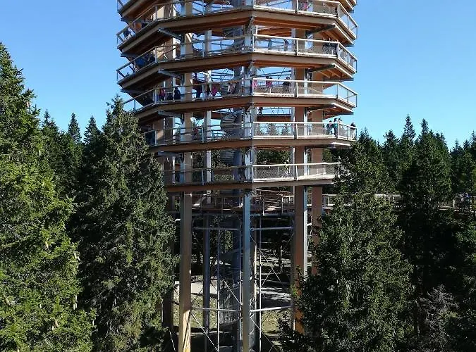 Apartman Apartma Borovnica Rogla Vitanje