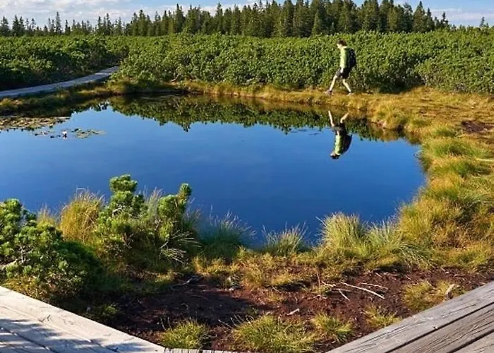 Apartma Borovnica Rogla Apartman Vitanje