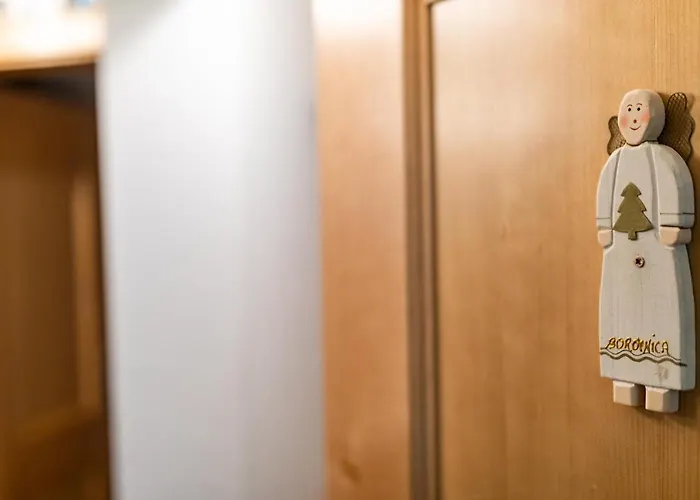 Apartma Borovnica Rogla דירה Vitanje